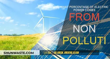 How Much of Our Electricity is Truly Clean?