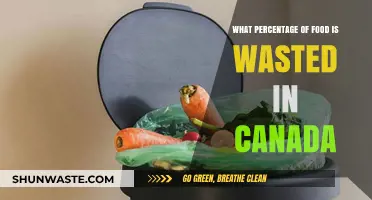 Uncovering the Hidden Waste: Canada's Food Loss Crisis