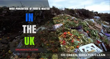 Uncovering the Shocking Truth About Food Waste in the UK
