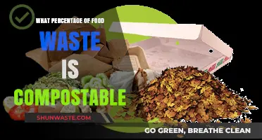 Unlocking the Potential: Composting Food Waste for a Greener Tomorrow