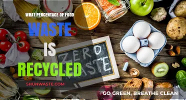 Sustainable Solutions: The Truth About Food Waste Recycling Rates