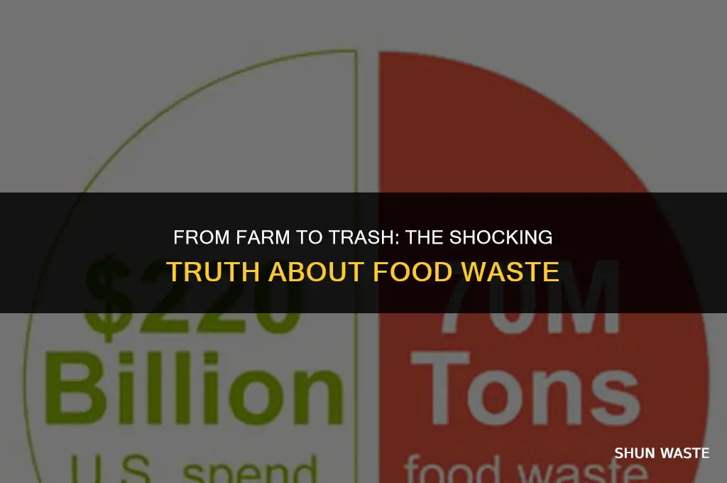 what percentage of food we buy goes to waste