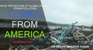 America's Plastic Straw Pollution: A Global Crisis