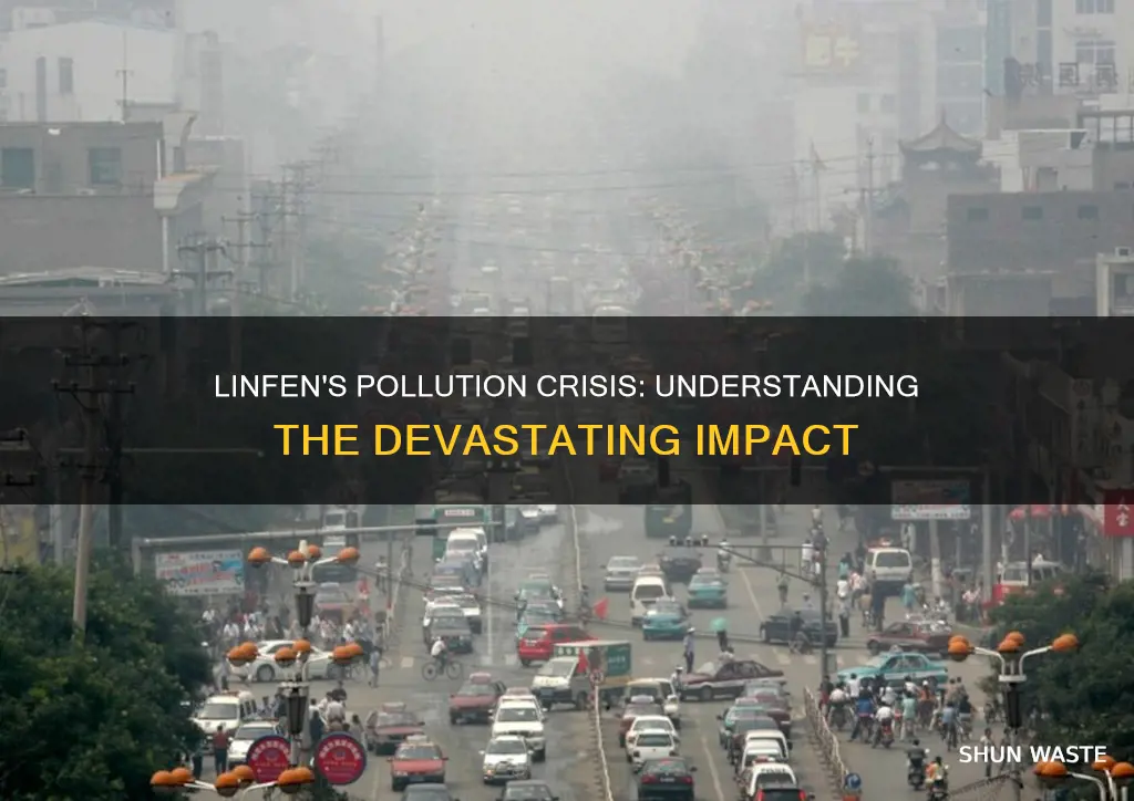 what percentage of linfen is affected by pollution