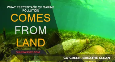 Land's Impact on Ocean Pollution: Understanding the Percentage