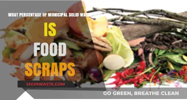 Food Scraps in Municipal Solid Waste: A Surprising Percentage