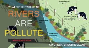 Polluted Rivers: New Zealand's Troubling Water Quality Crisis