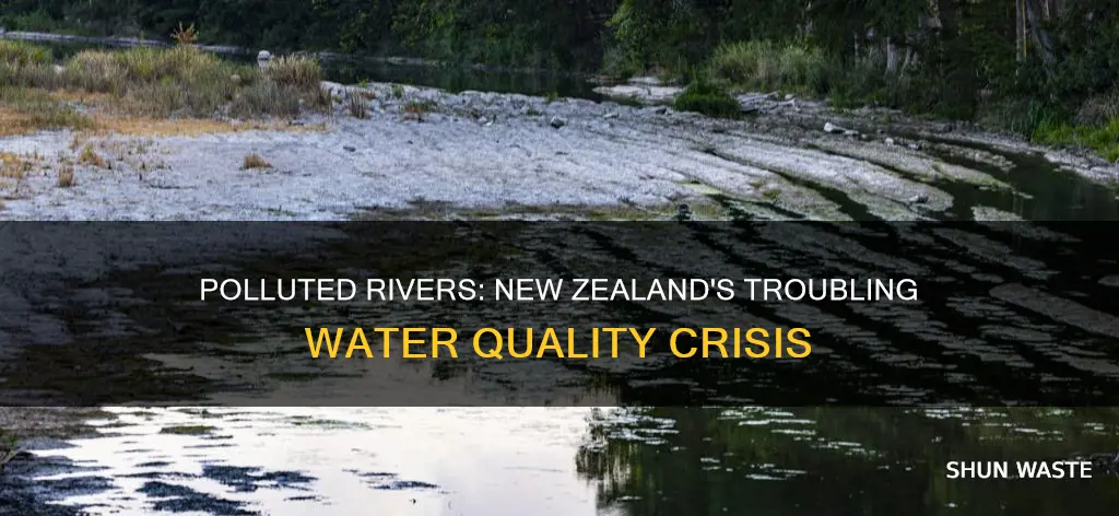 what percentage of nz rivers are polluted