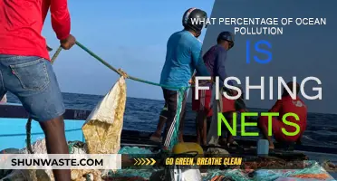 Ghost Nets: A Major Ocean Polluter