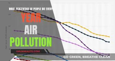 Air Pollution: A Silent Killer Among Us