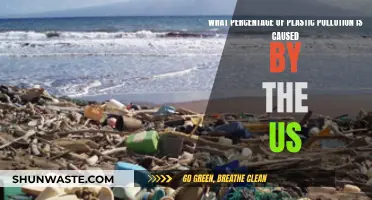 Unveiling the US Plastic Footprint: A Shocking Reality