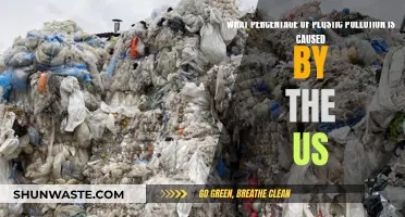 Unveiling the US Role in Plastic Pollution Crisis