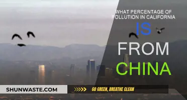 California's Pollution: How Much is China's Fault?