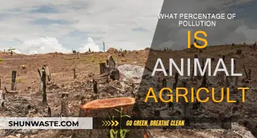 Animal Agriculture: A Major Contributor to Pollution