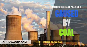 Unveiling Coal's Impact: The Surprising Share of Pollution