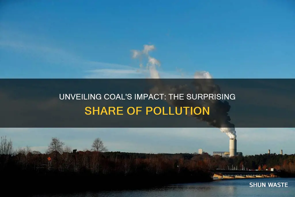 what percentage of pollution is caused by coal