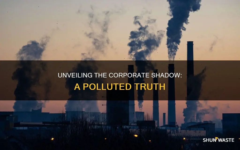 what percentage of pollution is caused by corporations