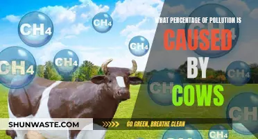 Cows' Contribution to Pollution: A Surprising Environmental Impact