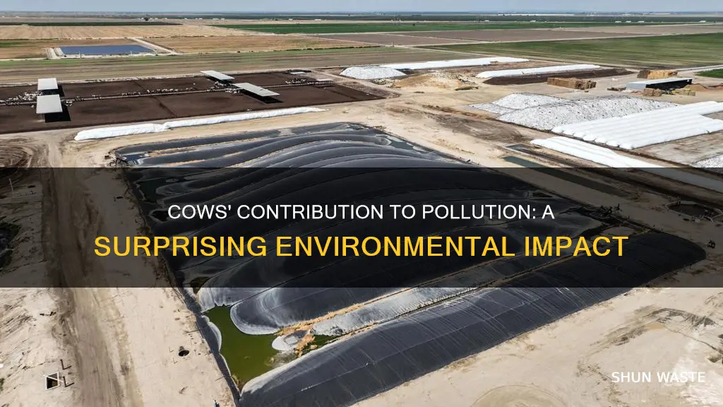 what percentage of pollution is caused by cows