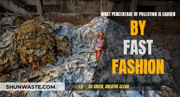 Fast Fashion's Dark Secret: The Shocking Pollution Percentage