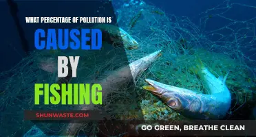 Unveiling the Hidden Cost: Fishing's Impact on Pollution