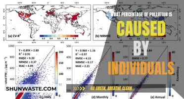 Unveiling the Individual Impact: A Deep Dive into Personal Pollution Contributions