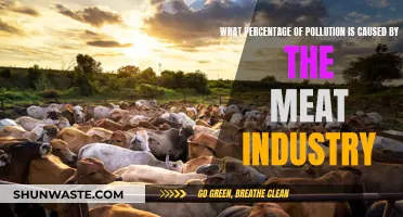 Meat Industry's Impact: Unveiling the Hidden Environmental Cost