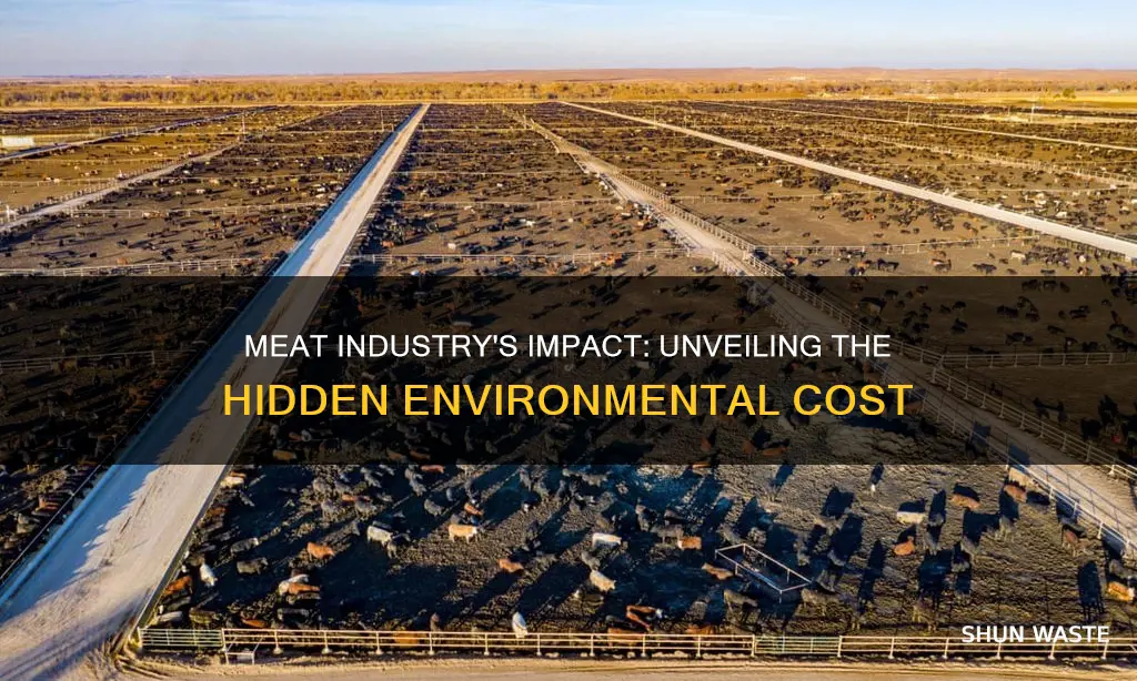 what percentage of pollution is caused by the meat industry