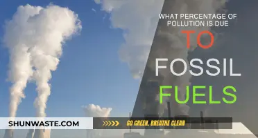Fossil Fuels' Pollution Percentage: How Much Blame?