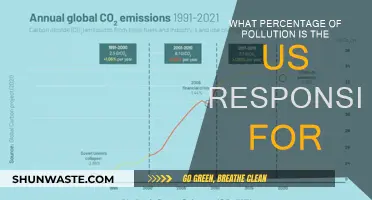 US Pollution Responsibility: What's the True Damage?