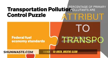Transportation's Primary Pollutant Contribution: What's the Percentage?
