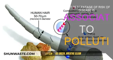 Air Pollution: A Major Disease Risk Factor
