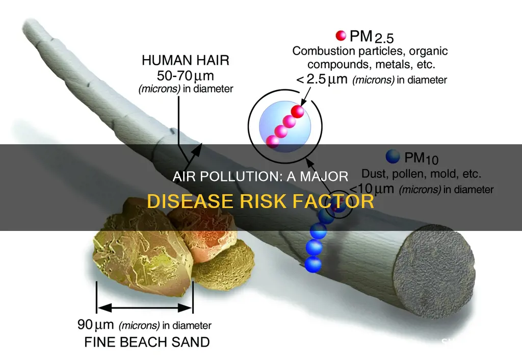 what percentage of risk of disease is associated to pollution