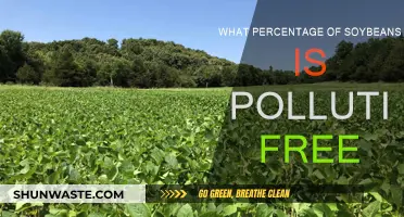 Soybeans: How Many Are Pollution-Free?
