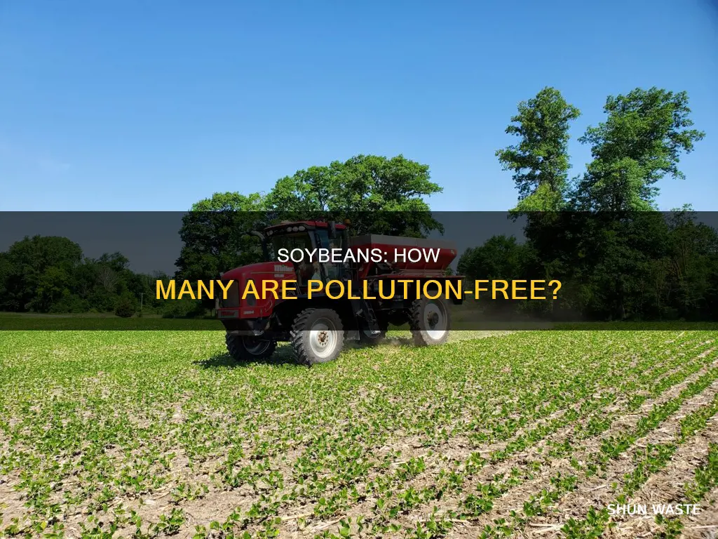 what percentage of soybeans is pollution free