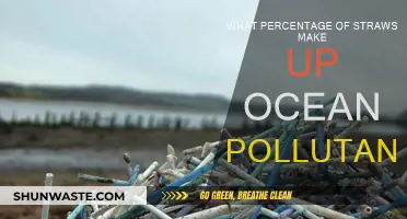 Straws: A Major Ocean Pollutant?