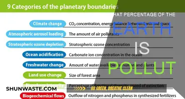 The Earth's Pollution Crisis: What's the Damage?