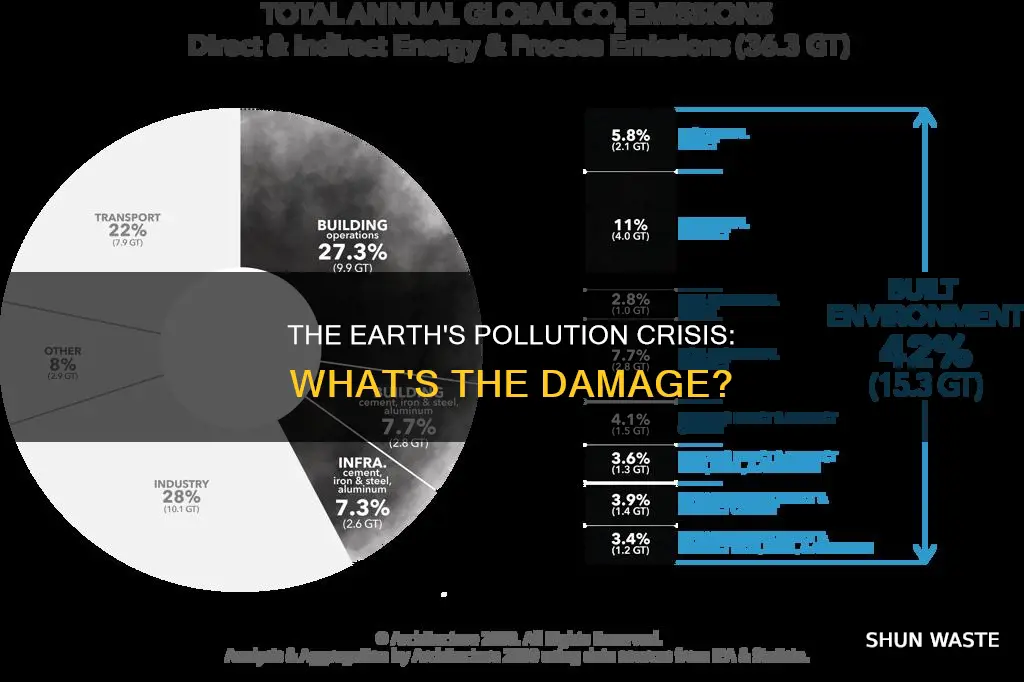 what percentage of the earth is polluted