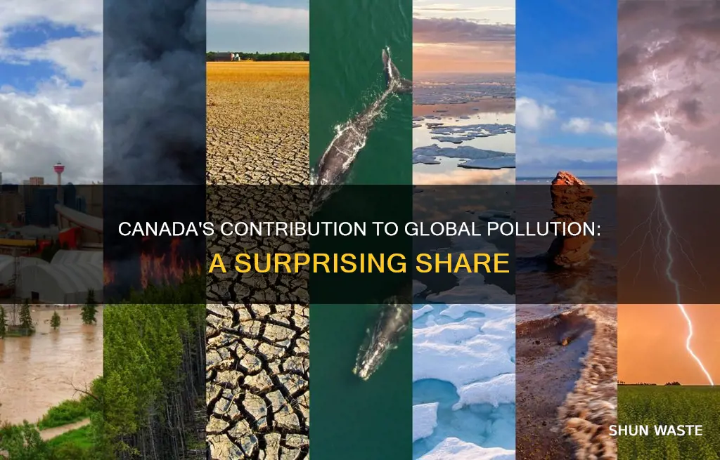 what percentage of the world pollution does canada