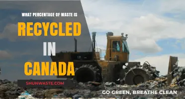 Unveiling Canada's Recycling Efforts: A Comprehensive Waste Management Overview