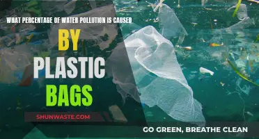 The Plastic Bag Problem: Uncovering the Surprising Water Pollution Stats