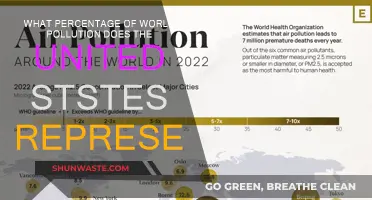 US Pollution: Global Impact Percentage