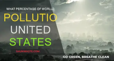 United States' Responsibility in Global Pollution
