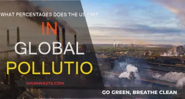 US Global Pollution Emissions: What's the Damage?