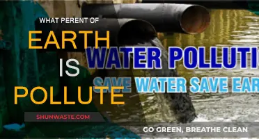 Earth's Pollution Crisis: Understanding the Devastating Impact
