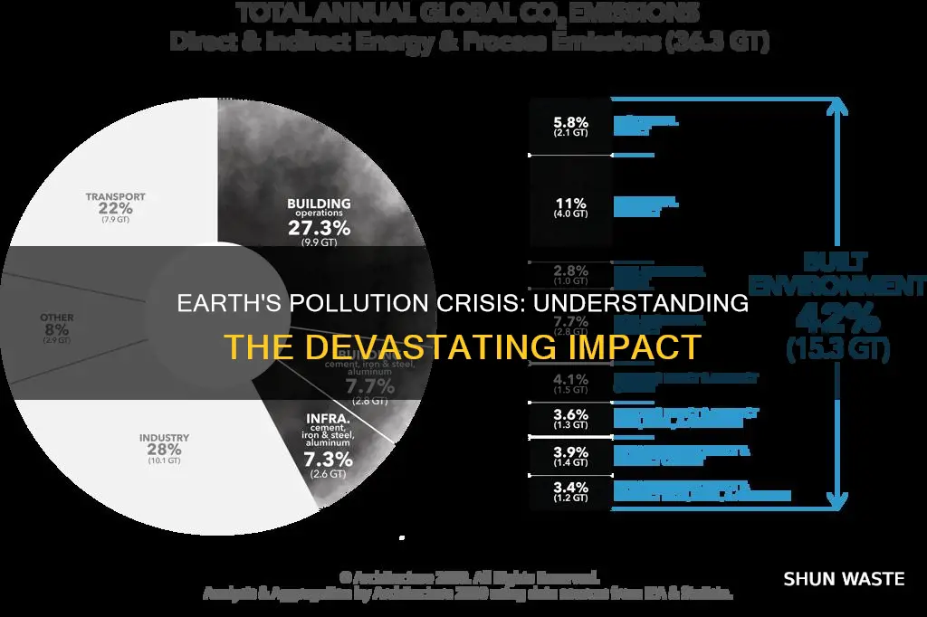 what perent of earth is polluted