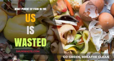 Uncovering the Hidden Waste: America's Food Loss Crisis