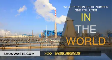 Who is the Top Polluter?