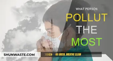 Who is the Worst Polluter?