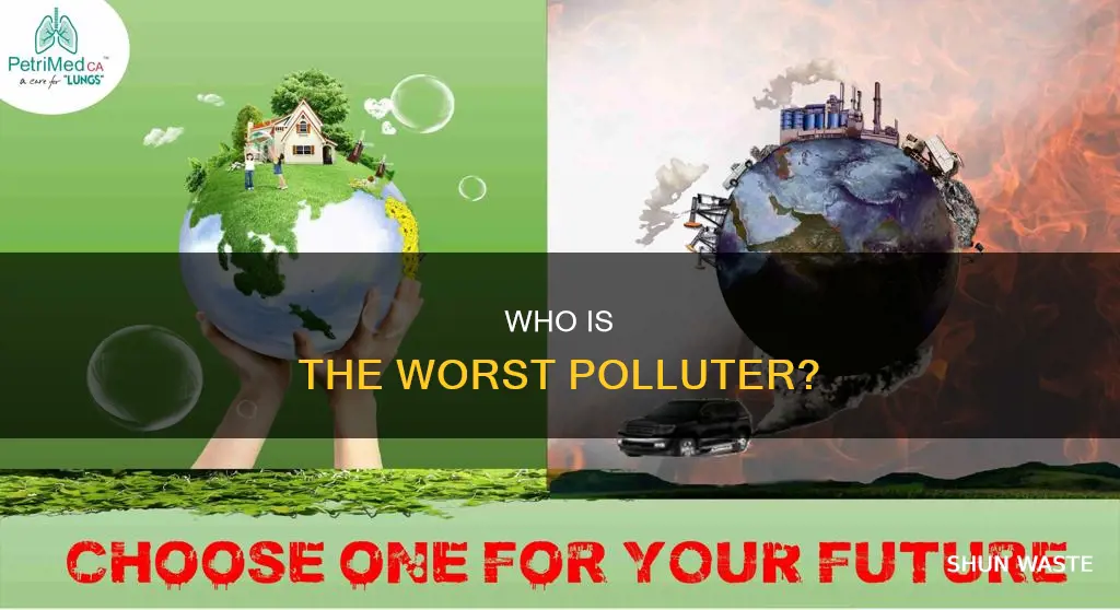 what person pollutes the most
